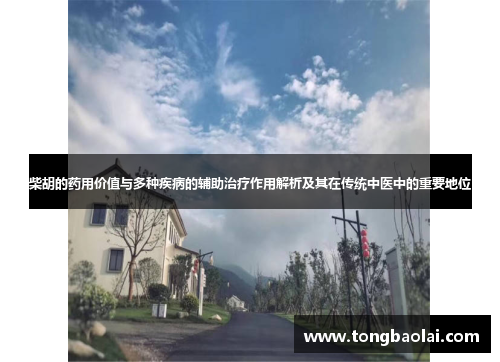 柴胡的药用价值与多种疾病的辅助治疗作用解析及其在传统中医中的重要地位