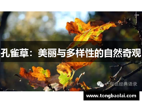 孔雀草：美丽与多样性的自然奇观