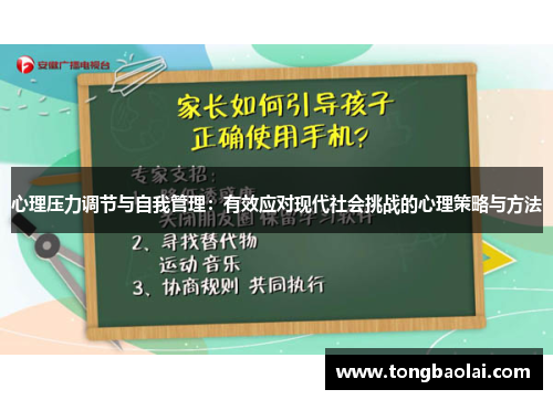 心理压力调节与自我管理：有效应对现代社会挑战的心理策略与方法