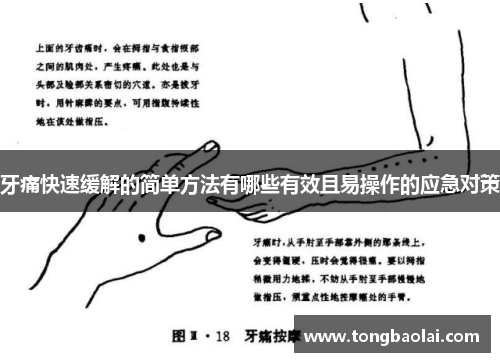 牙痛快速缓解的简单方法有哪些有效且易操作的应急对策